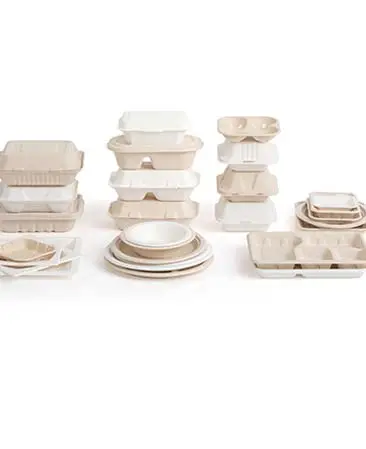 Bagasse لباس