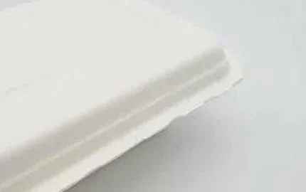 صندوق صدفي قابل للتحلل الحيوي ومستند إلى النباتات يمكن التخلص منه من من من من من من من من من من من من من من من من من من من من من
