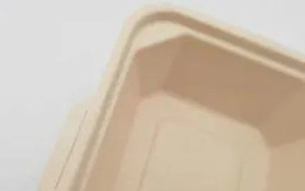 صندوق صدفي قابل للتحلل الحيوي ومستند إلى النباتات يمكن التخلص منه من من من من من من من من من من من من من من من من من من من من من