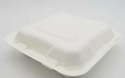صندوق صدفي 8 بوصة من لب الألياف الصديق